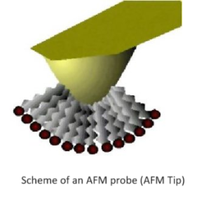 Scheme of an AFM probe (AFM Tip) NanoCraft